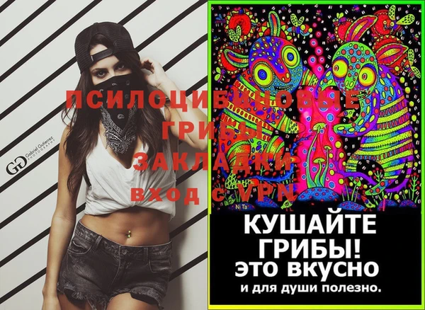 спайс Аркадак