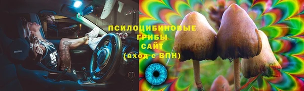 каннабис Арсеньев