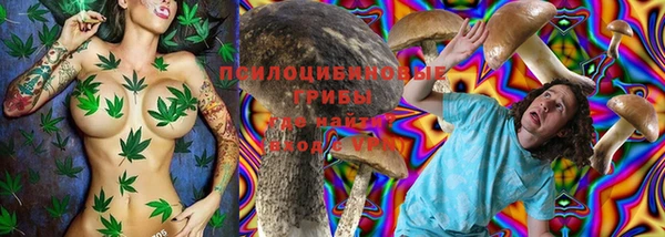 спайс Аркадак