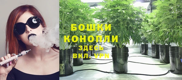 спайс Аркадак