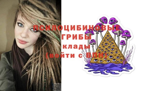 спайс Аркадак