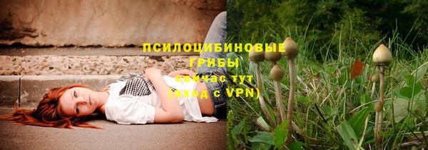 каннабис Арсеньев