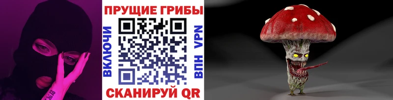 Галлюциногенные грибы мухоморы  закладки  маркетплейс как зайти  Рассказово 